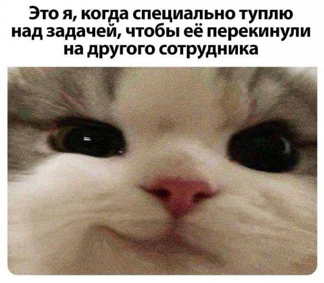 Лучшие шутки и мемы из Сети - 17.11.2025