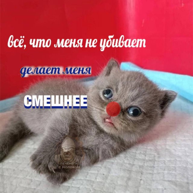 Лучшие шутки и мемы из Сети - 17.11.2025