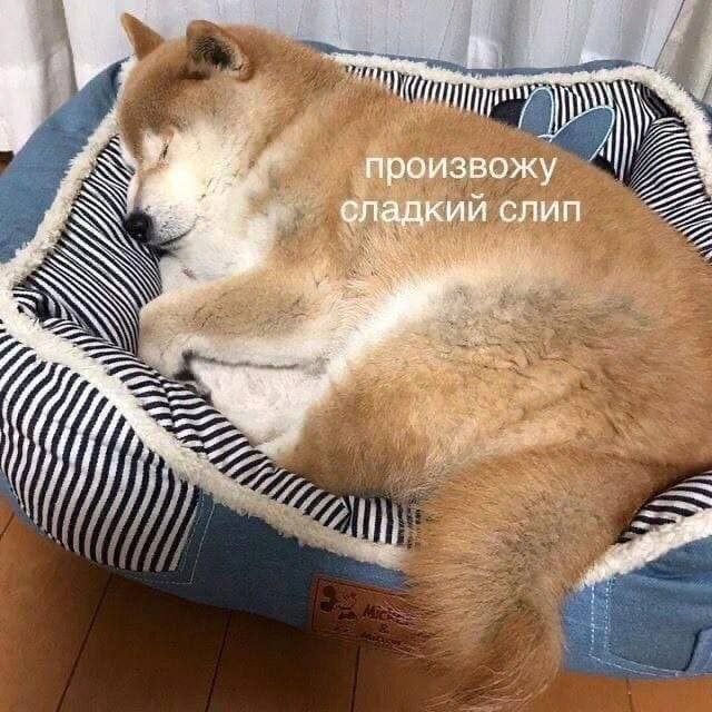 Смешные картинки - 17.112025