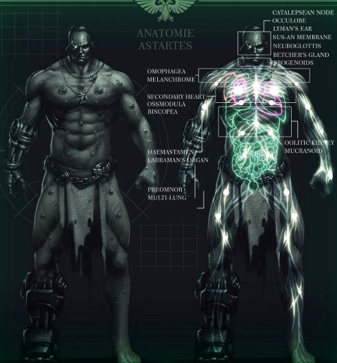 США работает над созданием генномодифицированных детей.