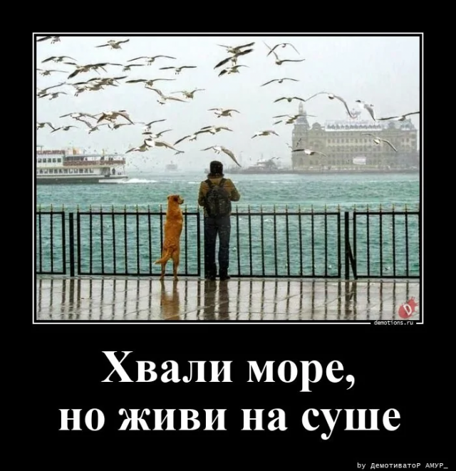 Демотиваторы для поднятия настроения