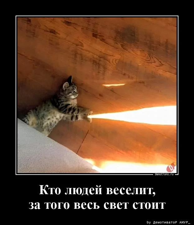 Демотиваторы для поднятия настроения