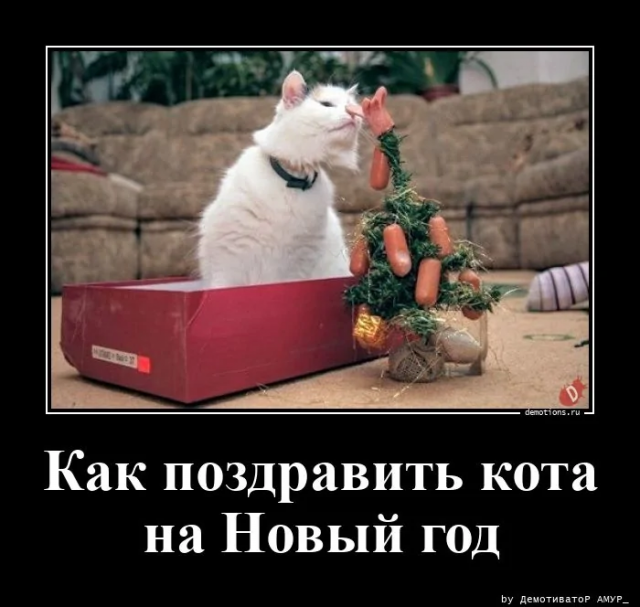 Демотиваторы для поднятия настроения