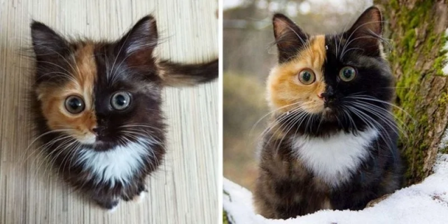 Природа - лучшая художница