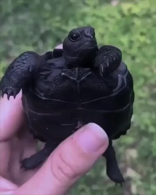 Природа - лучшая художница