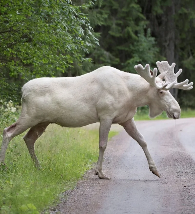 Природа - лучшая художница