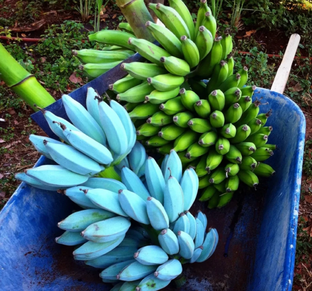 Природа - лучшая художница