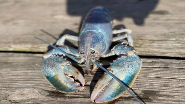 Природа - лучшая художница