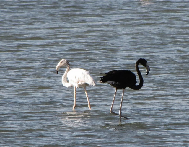 Природа - лучшая художница