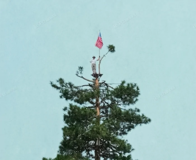 Наблюдатель за пожарной безопасностью. США, 1924 год.