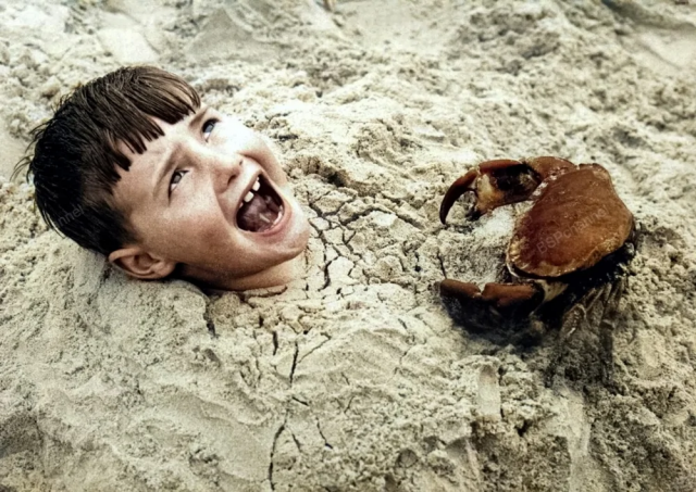 Краб атакует закопанного в песок мальчика, 1959 год.