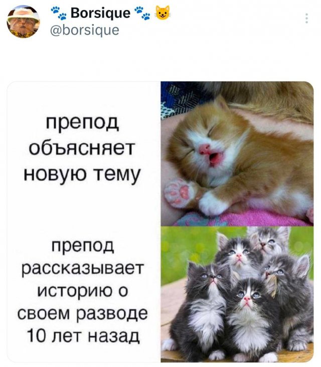 Подборка забавных твитов обо всем