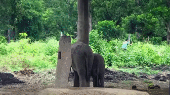 Подборка гифок -  18.11.2025