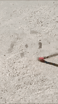 Подборка гифок -  18.11.2025