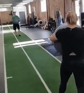 Подборка гифок -  18.11.2025