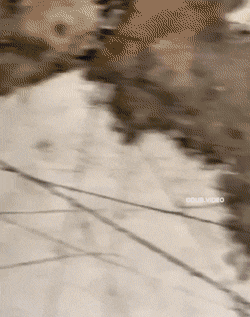 Подборка гифок -  18.11.2025