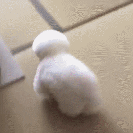 Подборка гифок -  18.11.2025