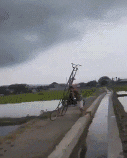 Подборка гифок -  18.11.2025