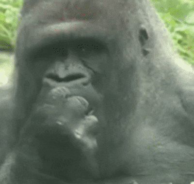 Подборка гифок -  18.11.2025