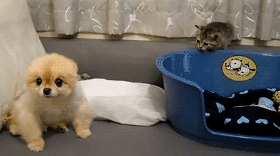 Подборка гифок -  18.11.2025