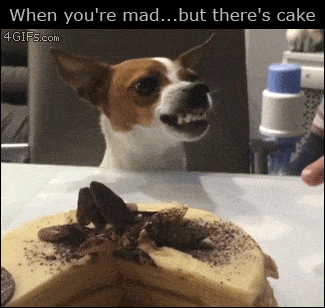 Подборка гифок -  18.11.2025