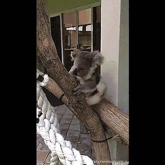 Подборка гифок -  18.11.2025