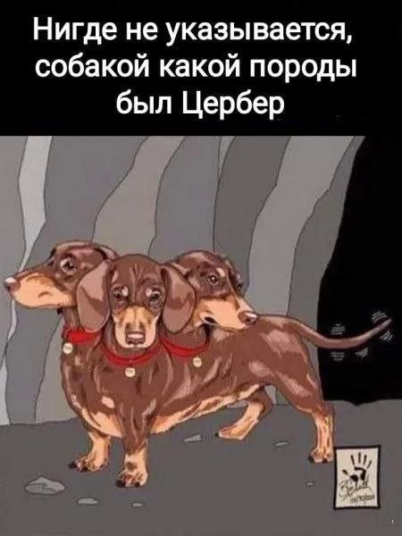 Лучшие шутки и мемы из Сети - 18.11.2025