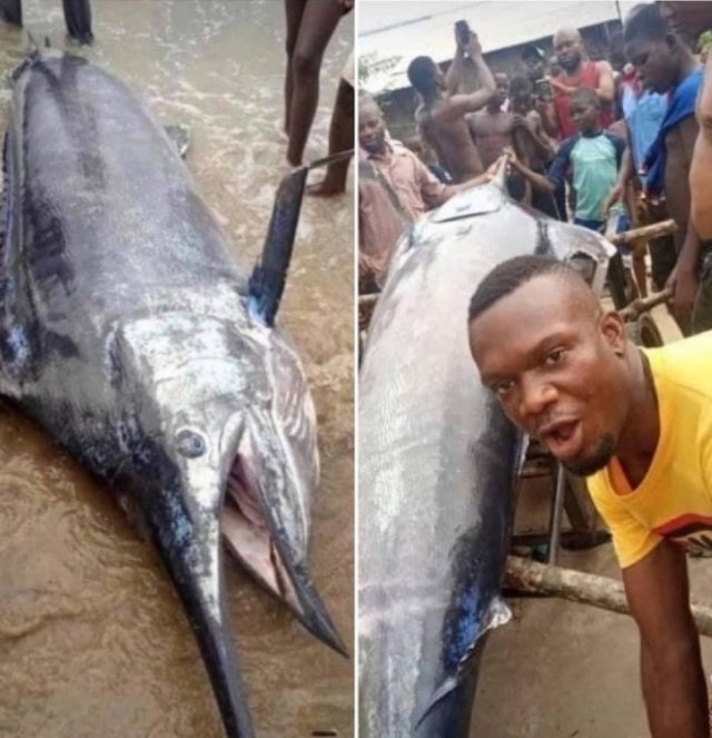 Ужин на миллионы!