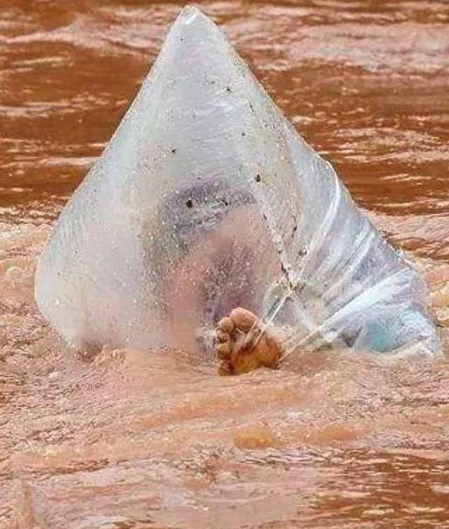 Во Вьетнаме родители отправляют своих детей в школу в полиэтиленовых пакетах