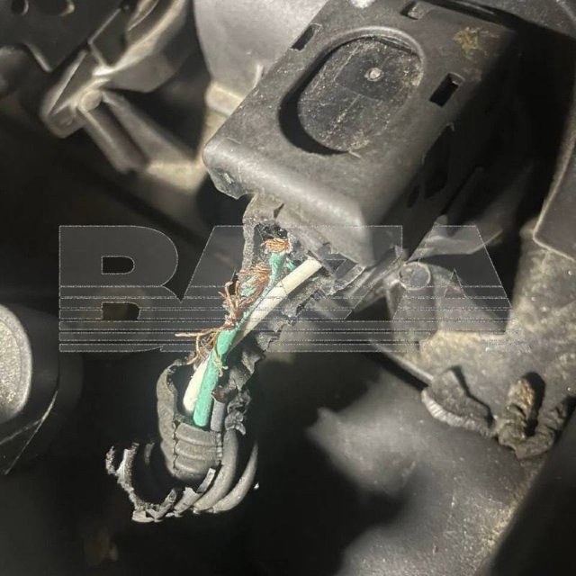 Крысы атакуют машины россиян после первых холодов