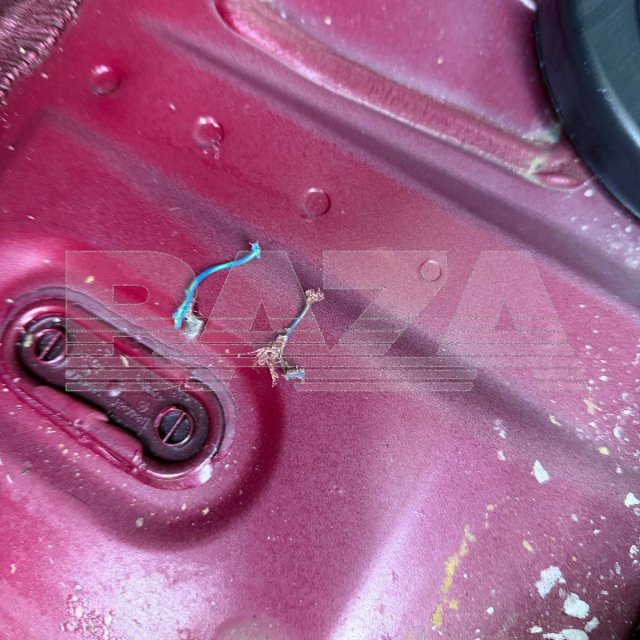 Крысы атакуют машины россиян после первых холодов