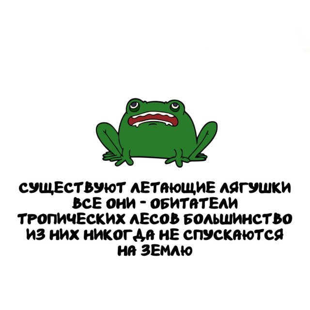 Интересные факты на все случаи жизни