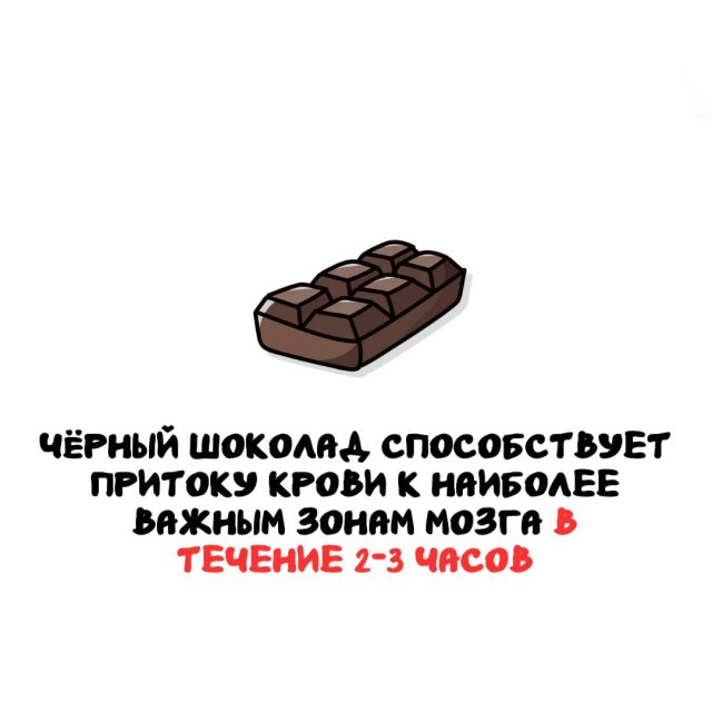 Интересные факты на все случаи жизни