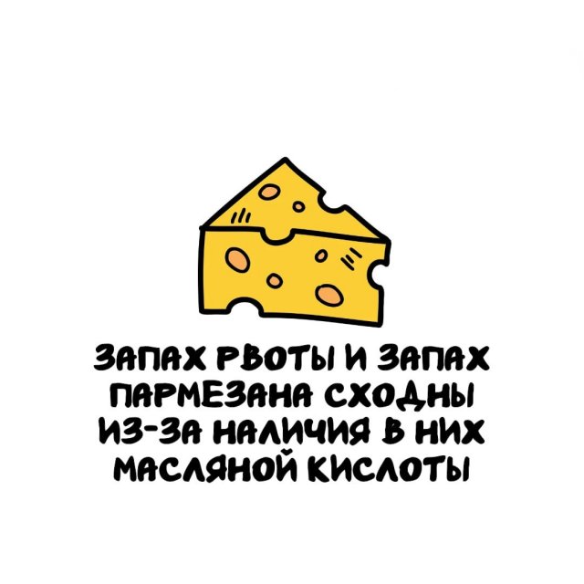 Интересные факты на все случаи жизни