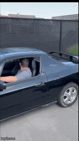 Подборка гифок -  19.11.2025