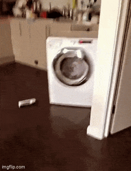 Подборка гифок -  19.11.2025