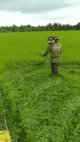 Подборка гифок -  19.11.2025