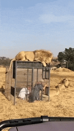Подборка гифок -  19.11.2025