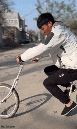 Подборка гифок -  19.11.2025