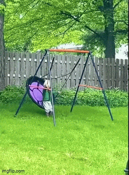 Подборка гифок -  19.11.2025