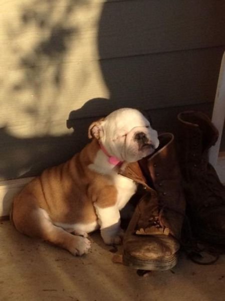 Подборка картинок. Вечерний выпуск - 19.11.2025