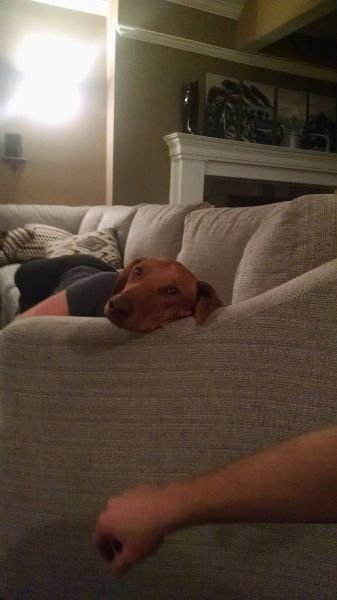 Подборка картинок. Вечерний выпуск - 19.11.2025