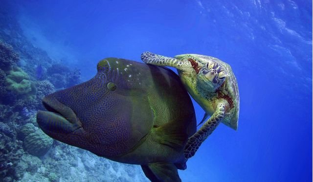 Подборка картинок. Вечерний выпуск - 19.11.2025