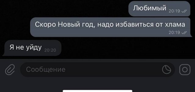 Подборка картинок. Вечерний выпуск - 19.11.2025