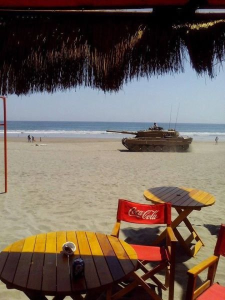 Подборка картинок. Вечерний выпуск - 19.11.2025