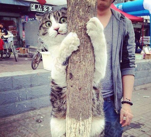 Подборка картинок. Вечерний выпуск - 19.11.2025