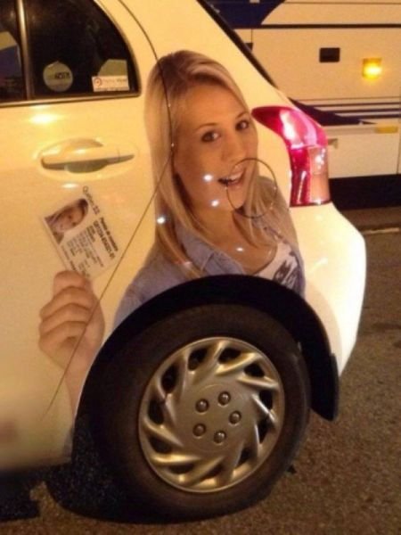 Подборка картинок. Вечерний выпуск - 19.11.2025