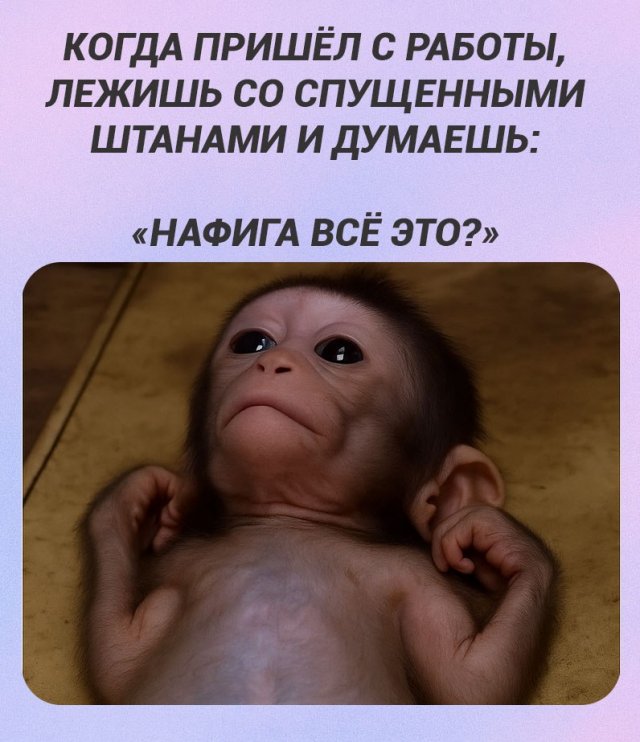 Смешные картинки - 20.11.2025