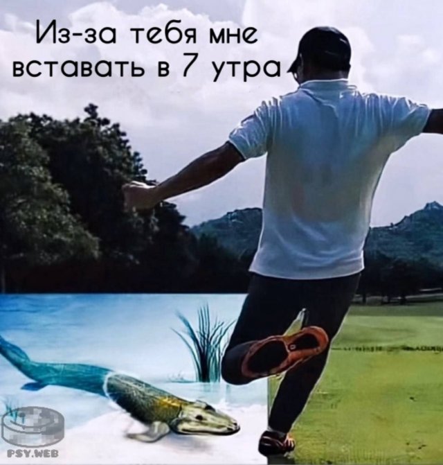 Смешные картинки - 20.11.2025