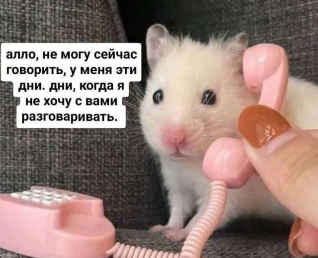 Смешные картинки - 20.11.2025